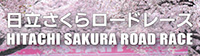 日立さくらロードレース